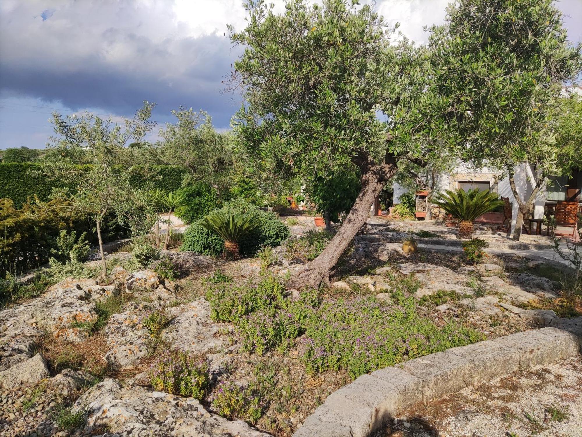 Villa Giulia B&B Кастеллана-Гротте Экстерьер фото